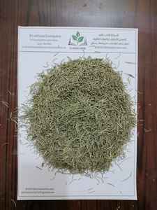 Romarin sec brut égyptien de qualité supérieure, herbe et épices uniques, ingrédients naturels - Product Image 3