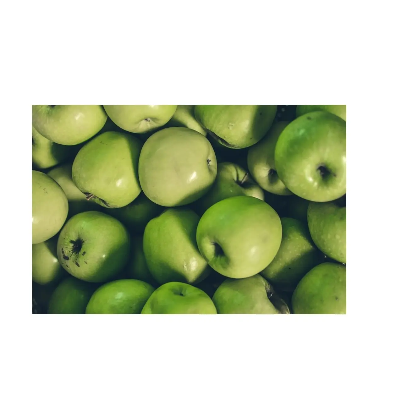 新鮮な赤いリンゴ-緑のリンゴ-新鮮な黄金のおいしいリンゴを卸売価格でドイツからの格安価格サプライヤー