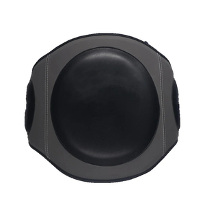 Protection MMA Muay Thai Performance Spartacus : Cible de taille et de ventre multi-usages pour la boxe et la réaction - Product Image 2