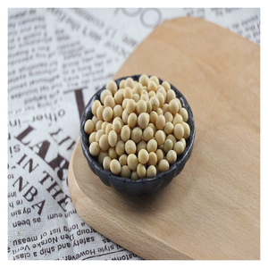 Haute qualité/Meilleur brésilien/Vente en gros de haute qualité Type de culture sans OGM Graine de soja en vrac séchée - Product Image 1