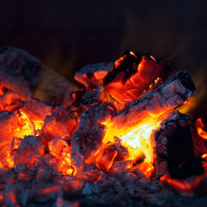 Charbon de tamarin sélectionné pour barbecue et grillades, avec un feu propre et stable - Product Image 4