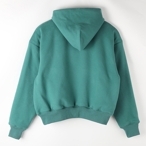 Dropshipping Hommes Personnalisé Lourd 600gsm Double Couche Pull French Terry Cotton Blank Hoodie - Product Image 2