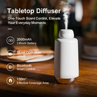 Diffuseur d'huiles essentielles compact sans eau DANQ, rechargeable, 20 ml, silencieux 40 dB, 100 m³, pour chambre d'hôtel, voiture, logo personnalisé OEM