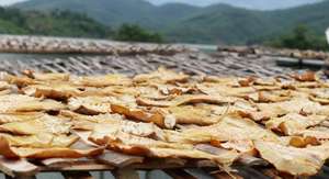 PRODUCTOS AGRÍCOLAS DE EXPORTACIÓN SUPERIOR DE VIETNAM: DISPAROS DE BAMBÚ SECOS BUEN PRECIO EN EL MERCADO/ALTA CALIDAD - Product Image 3