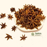 Anis étoilé naturel séché non transformé, sélectionné en usine, provenance Vietnam, tri soigné, teneur élevée en huile, export compétitif