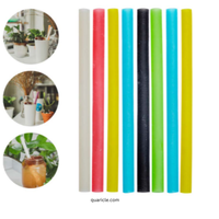Pailles jetables biodégradables de 8mm pour le budget Paille durable pour plantes Smoothie Jus Shakes Hôtels Restaurants Personnalisé