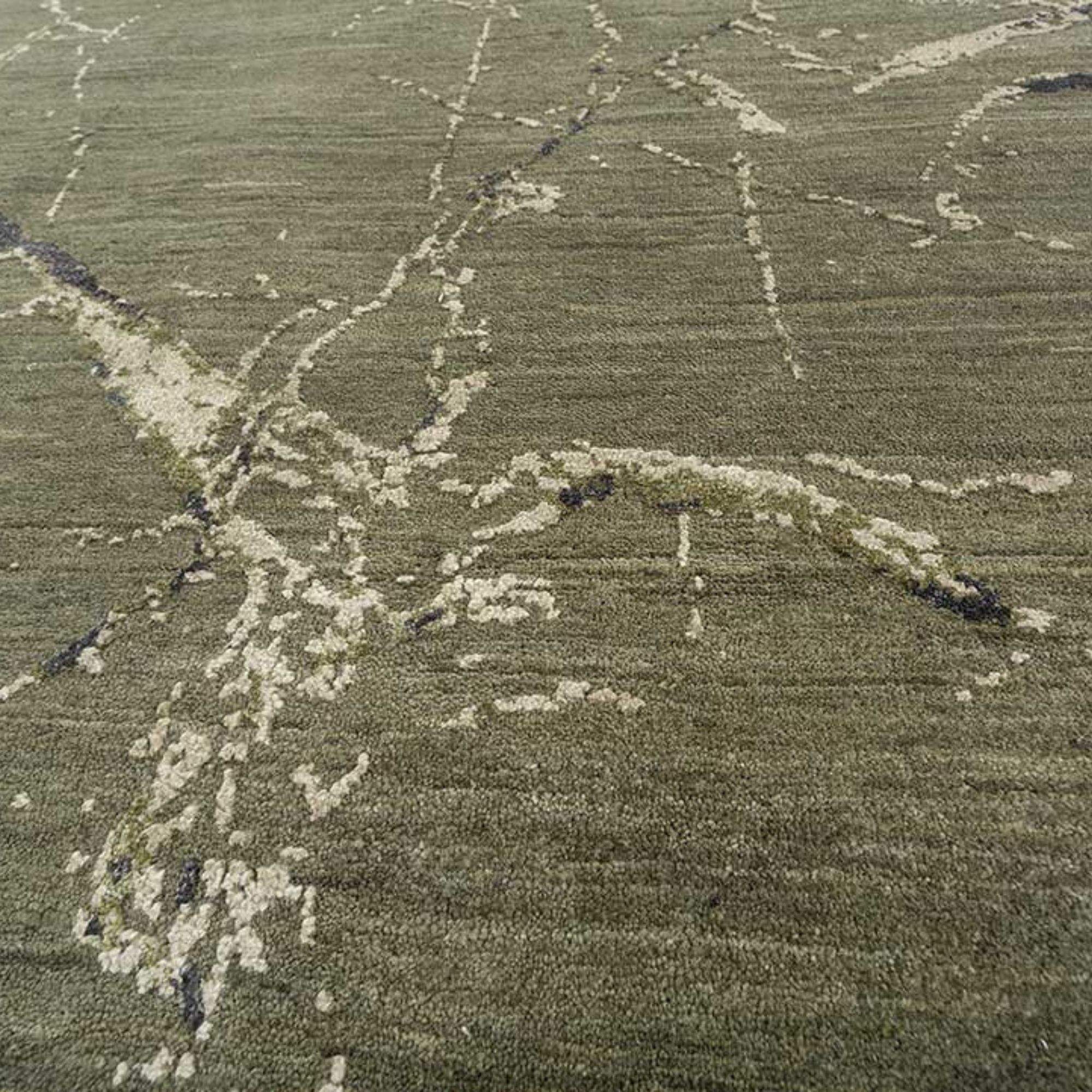 สีเขียว