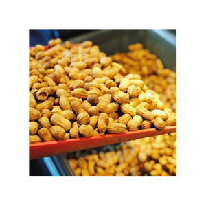 Chất Lượng Cao Cấp Blanched Đậu Phọng Hạt Tự Nhiên <span class=keywords><strong>Bold</strong></span> Nguyên Liệu Màu Đỏ Da Hạt Khô Phong Cách Xuất Khẩu Sẵn Sàng - Product Image 4