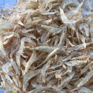 Prix compétitif crevette séchée/petite crevette de haute qualité - Product Image 5