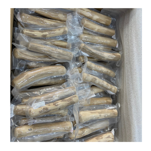 Supplier 99 Gold Data with Natural Coffee Wood Chew Stick Eco Friendly - <b>Top</b> Products for Pet Hot Selling - Product Image 4