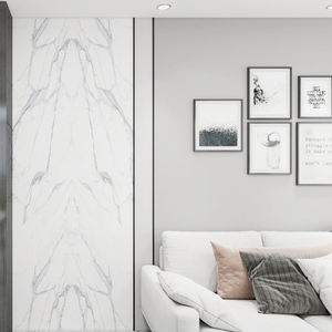 لوح حائط 4 من SPC بتصميم عصري مقاوم للماء ، جدار خلفية رخامية صامتة مانعة للإنزلاق للفيلا وغرف النوم - Product Image 4