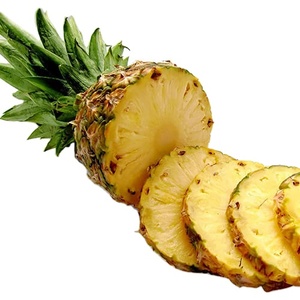 Pâte d'ananas/pâte d'ananas séchée pâte d'ananas séchée de qualité supérieure à haute teneur en protéines pour aliments pour animaux - Product Image 1