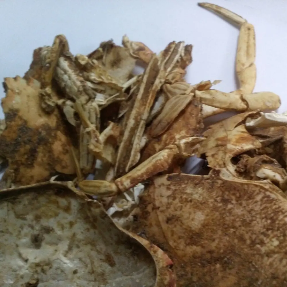 Casca seca natural do caranguejo do camarão para fazer a alimentação animal do fertilizante