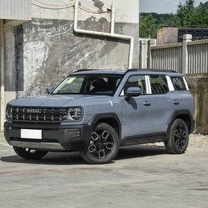 Co ol D og 1.5T 2WD, Vehículo Híbrido de Nueva Energía, SUV Compacto de 5 Asientos con Volante Multifunción, Gran Venta - Product Image 3