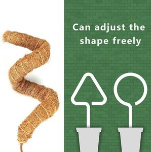 Poste de musgo flexible para plantas Monstera, estacas para plantas, planta de jardín interior, poste de musgo flexible para plantas de ECO2GO VIETNAM - Product Image 2
