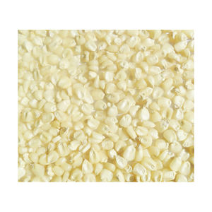 Maïs sucré congelé IQF en vrac grains de maïs blanc Style supérieur Emballage de stockage Aliments matures Couleur Poids Étagère Origine Type Life Grade - Product Image 6