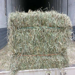 Fourrage sec et propre, foin d'alfalfa naturellement séché en balles, conçu pour la nutrition animale, pour grossistes mondiaux, approvisionnement en vrac - Product Image 1