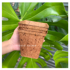 Meilleure vente 100% Pots en fibre de coco biologique Eco2Go Pot de fleur en coco au design personnalisé du Viet Nam pour le jardin - Product Image 4