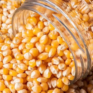 Maíz amarillo seco natural 100% para alimentación animal rico en proteínas de buena calidad para exportación - Product Image 1