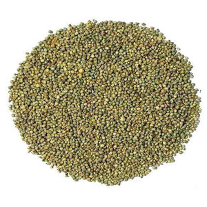 Alimentation nutritionnelle Bajra de qualité supérieure au millet vert pour l'alimentation des volailles à un prix abordable disponible pour l'exportation - Product Image 4