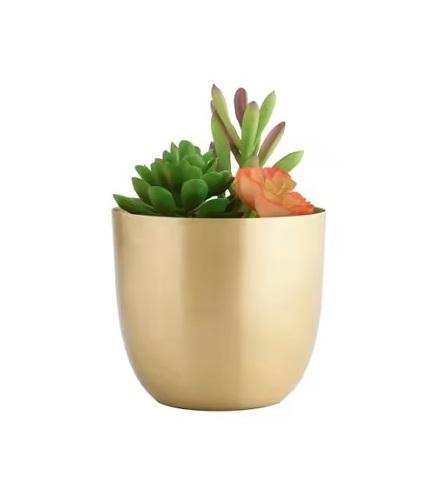 ตามที่แสดง