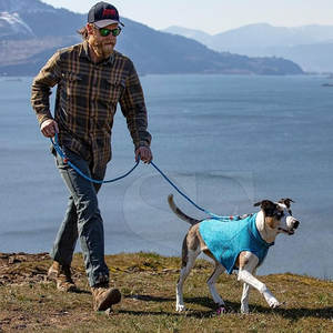 Chaquetas de lujo para perros OEM, superventas del fabricante, alta calidad, poliéster, nailon, tallas XS XL, sólido, portátil, temporada de invierno, oferta - Product Image 6