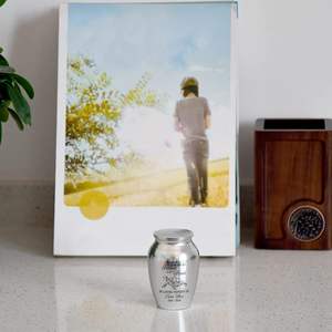 Urna de cremación conmemorativa para mascotas de tortuga plateada de tamaño personalizado, recuerdo de Metal personalizado para recuerdos de cenizas de un ser querido, regalos para - Product Image 5