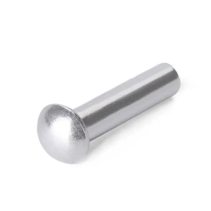 Rivet solide en acier inoxydable 904L super résistant, tête champignon DIN124 - Product Image 1