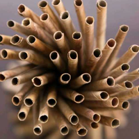 Pailles jetables écologiques 100 % biodégradables en feuilles de coco de qualité supérieure, 5 mm, pour boissons chaudes/froides, idéales pour bars et fêtes de Noël (lot)