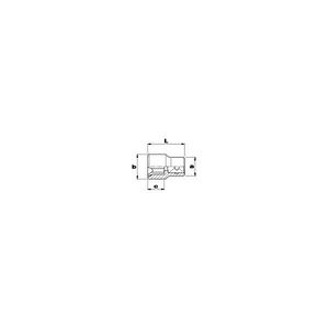 Usag TORX <b>Sockets</b> Premium Quality Product Category <b>Socket</b> - Product Image 2