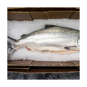 Pescado de salmón Filete congelado Pescado de salmón atlántico fresco y congelado/Salmón congelado entero/Cabeza de salmón a la venta - Product Image 6