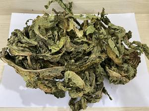 Feuilles de papaye séchées du Vietnam, directement de l'usine, Carica Papaya, matière première en vrac pour sachets de thé en vrac et étiquette personnalisée - Product Image 2