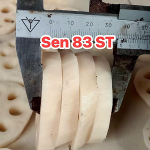 รากบัวสดบริสุทธิ์จากเวียดนามผักเพื่อสุขภาพสะอาดเหมาะสำหรับใช้ทำอาหาร - Product Image 4