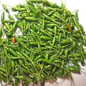 Chili fresco congelado Premium orgánico de alto grado Chile agricultura hierbas de Vietnam fabricante - Product Image 1