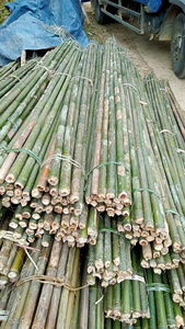 Precio al por mayor competitivo de bambú de Vietnam Bao Tram Anh Proveedor de gran cantidad de productos de buena reputación - Product Image 2