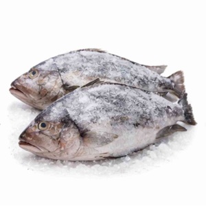 Filete de Tilapia Congelado, Sin Piel y Sin Espinas - Product Image 2