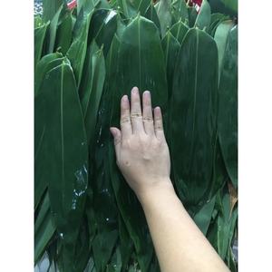 ขายดีที่สุดใบไผ่: ข้อเสนอพิเศษคุณภาพดี! -บัวสีน้ำเงินเวียดนาม - Product Image 3