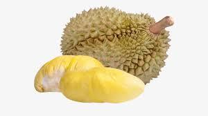 CARNE DURIAN CONGELADA, SIN ADITIVOS - Product Image 5