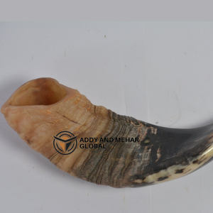 ชอฟาร์ทำมือจากเขาธรรมชาติสำหรับชาวยิว ใช้สำหรับการสวดมนต์ การเล่นดนตรี และพิธีกรรม - Product Image 4