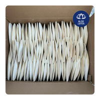 Meilleure vente os de seiche calcium naturel pour oiseaux tortues lapins soin du bec force de la coquille et utilisation artisanale à la main