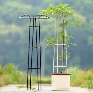 กรงรองรับต้นไม้ที่มีน้ำหนักเบาและทนทานนี้ทำให้การดูแลพืชง่ายขึ้นและมีประสิทธิภาพมากขึ้น - Product Image 4