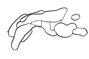 <span class=keywords><strong>Kit</strong></span> de révision complet du moteur 368DT avec jeu de joints pour Land Rover RANGE ROVER SPORT 3.6L 3.6 L T V8 Diesel LR005893 1102415 - Product Image 4