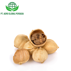 Cardamomo Blanco Orgánico Indonesio de Alta Calidad, Agricultura Premium, 6 Meses de Vida Útil, Listo para Usar, Precios Competitivos, Venta al Por Mayor - Product Image 5