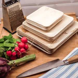 Platos cuadrados profundos de hoja de palma Areca Natural, platos compostables para fiestas y catering al precio más bajo - Product Image 1