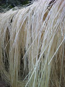 ม้วนหวาย DIY เป็นมิตรกับสิ่งแวดล้อมสำหรับตกแต่งบ้านผลิตภัณฑ์ทางการเกษตรคุณภาพสูงผลิตในเวียดนาม - Product Image 2