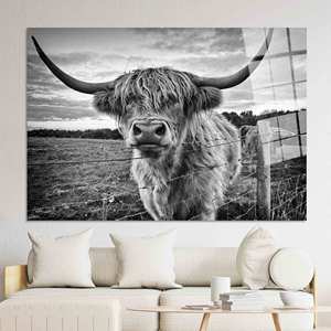 Arte de pared en lienzo de vaca Highland: Decoración impresa de ganado Longhorn, arte en vidrio templado - Product Image 1