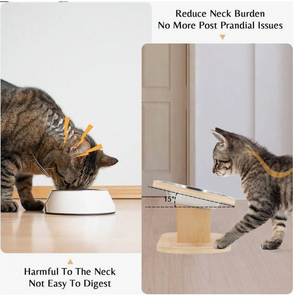 ชามไม้สำหรับแมวขาตั้งดีไซน์ทันสมัยพร้อมโครงสร้างที่ทนทาน - Product Image 6