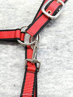 Ensemble de laisse et de bridon en nylon pour chevaux, taille Full-Cob, avec quincaillerie en métal robuste et de qualité supérieure, vente en gros