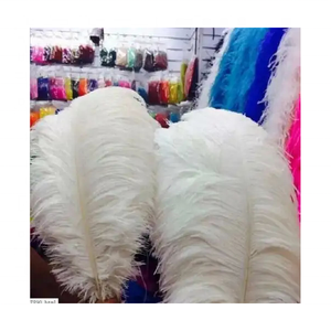 Plumas de pavo real de avestruz, plumas largas naturales Multicolor para fiesta, Carnaval, decoraciones y Bodas de Alemania - Product Image 1