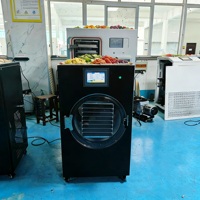 Mini-vriesdroger voor fruit en groenten, kleine lyofilisator voor fruit en groenten